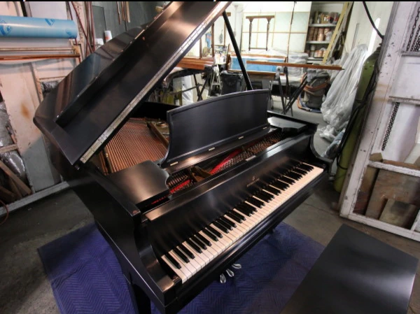 Finish Color 501 Ebony